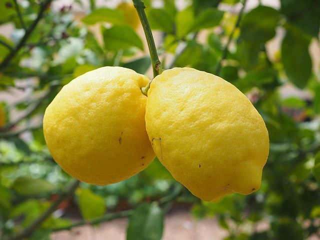 Du citron en remède contre l'acné